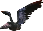 Argentavis