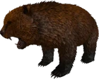 Direbear