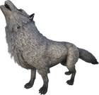 Direwolf