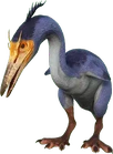 Hesperornis