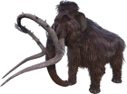 Mammoth